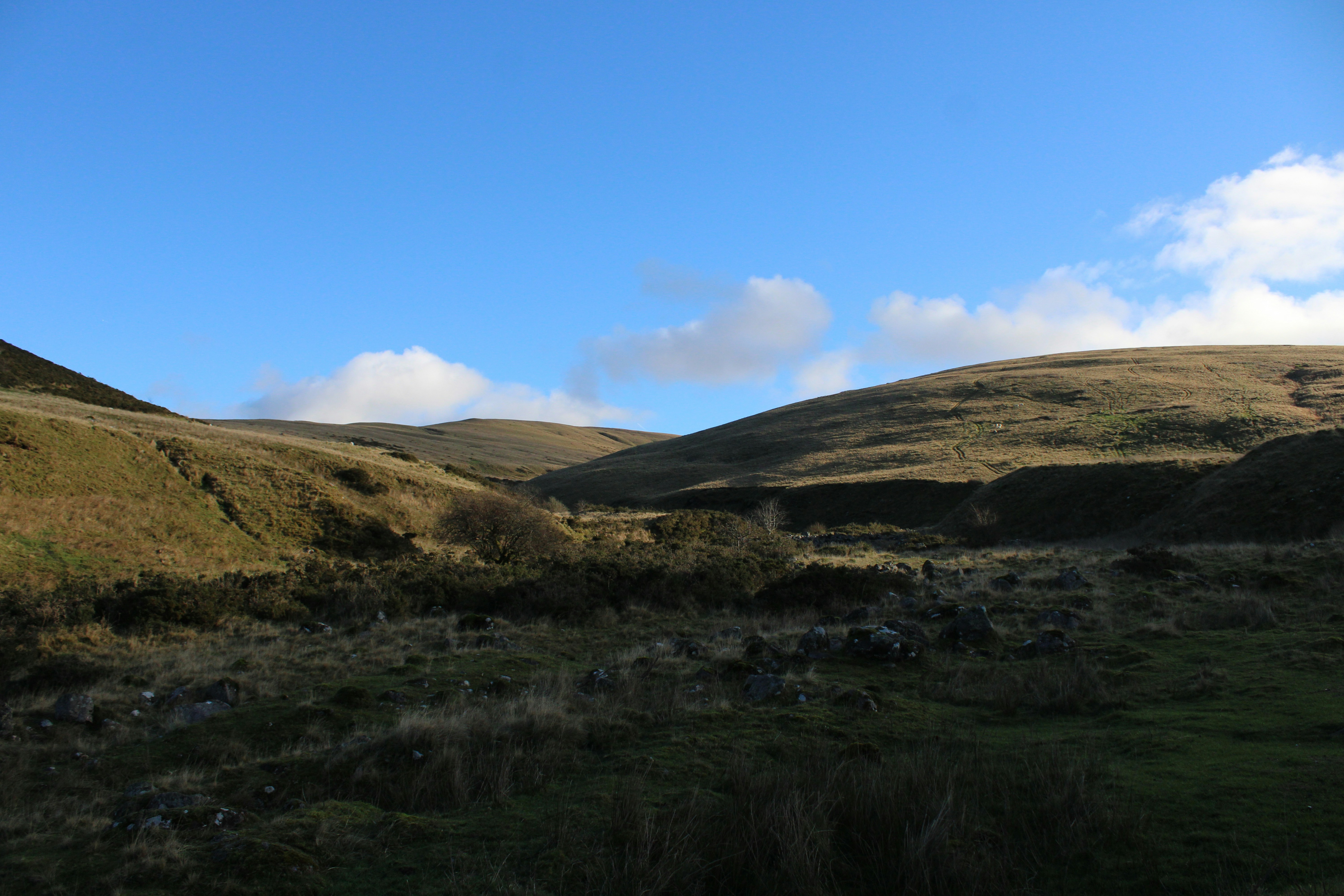 Photo by balesphotographyco