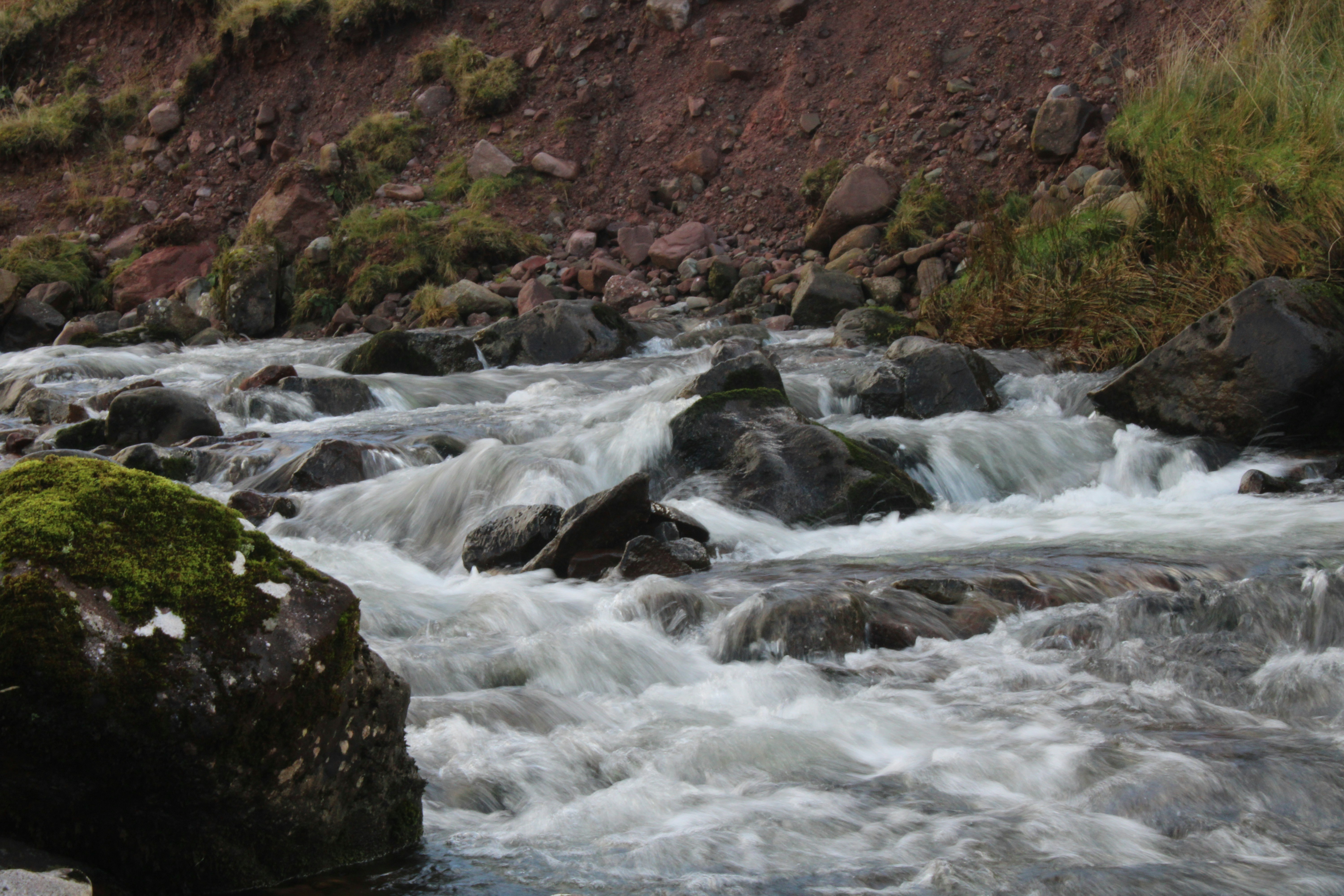 Photo by balesphotographyco