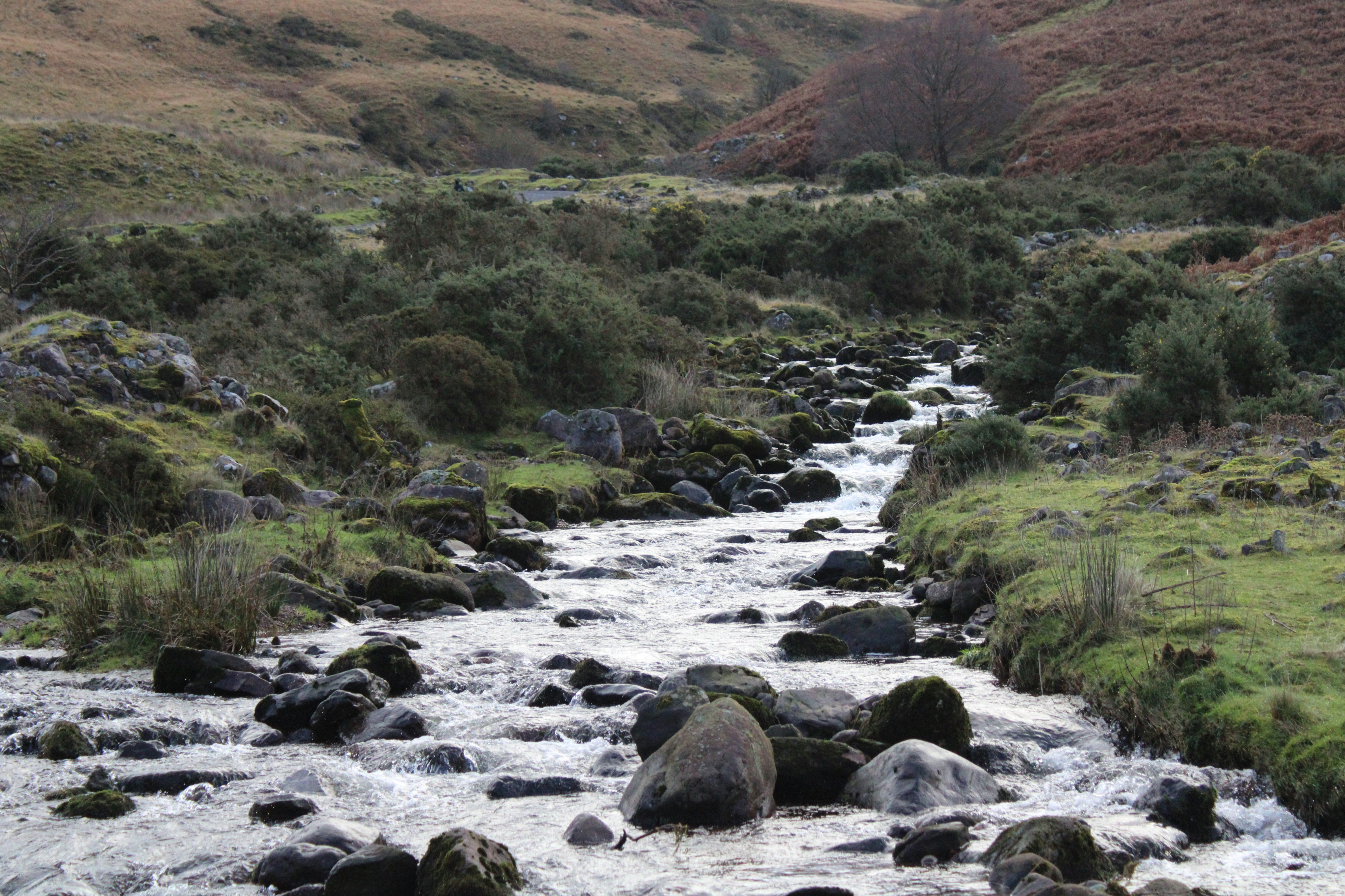 Photo by balesphotographyco