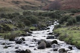 A serene landscape featuring a flowing stream surrounded by rocks and lush greenery. The area is dotted with shrubs and grasses, set against rolling hills in the background. The overall ambiance suggests a peaceful and natural environment.