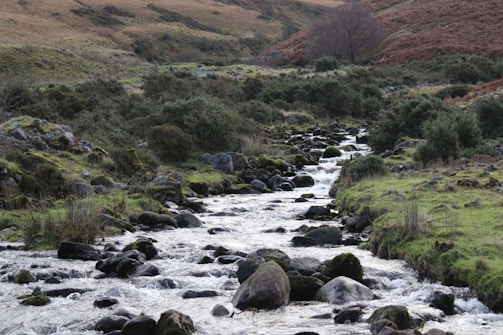 A serene landscape featuring a flowing stream surrounded by rocks and lush greenery. The area is dotted with shrubs and grasses, set against rolling hills in the background. The overall ambiance suggests a peaceful and natural environment.