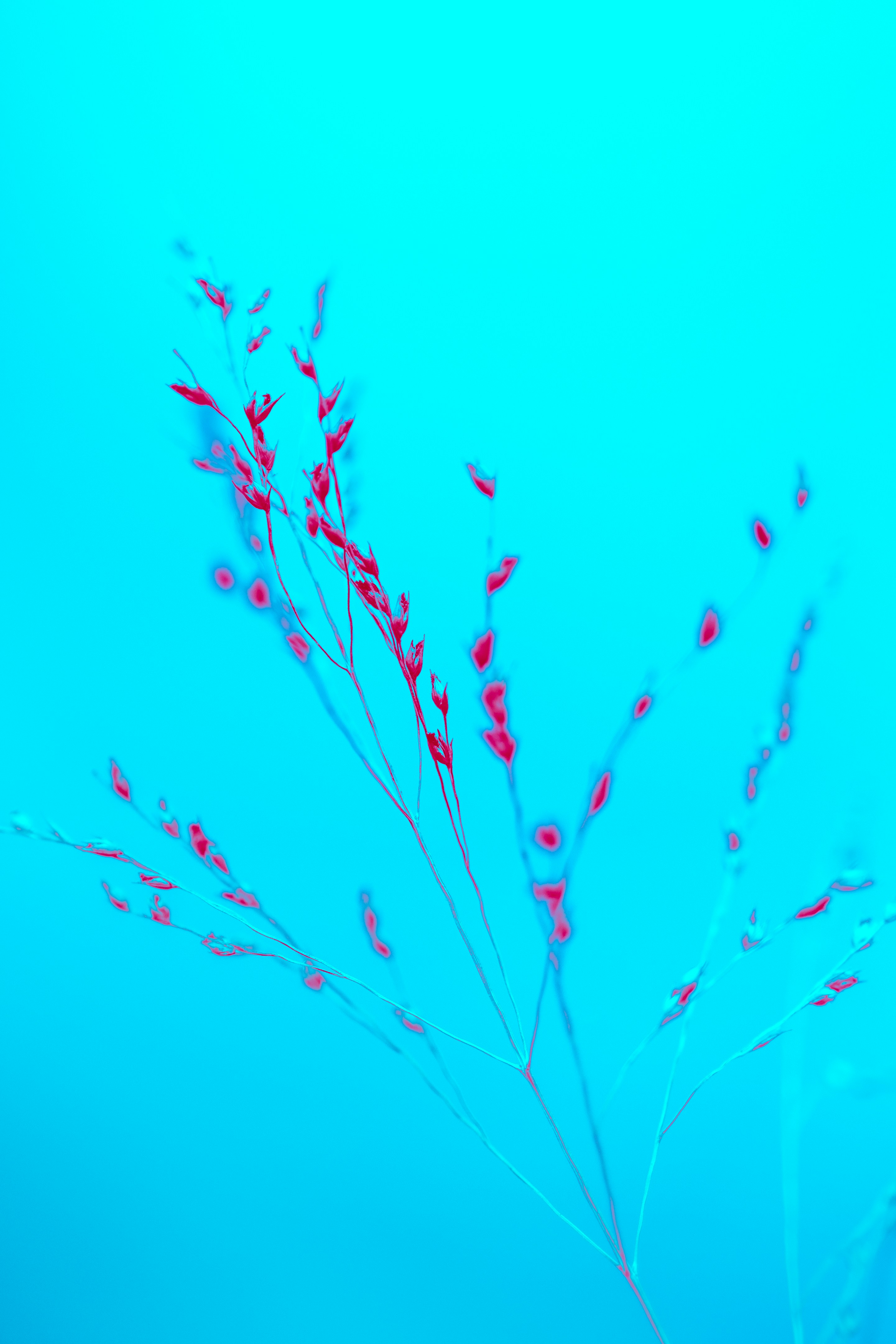 Photo by marekpiwnicki