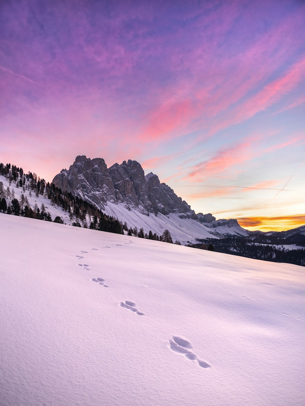 a snow covered field with a mountain in the background