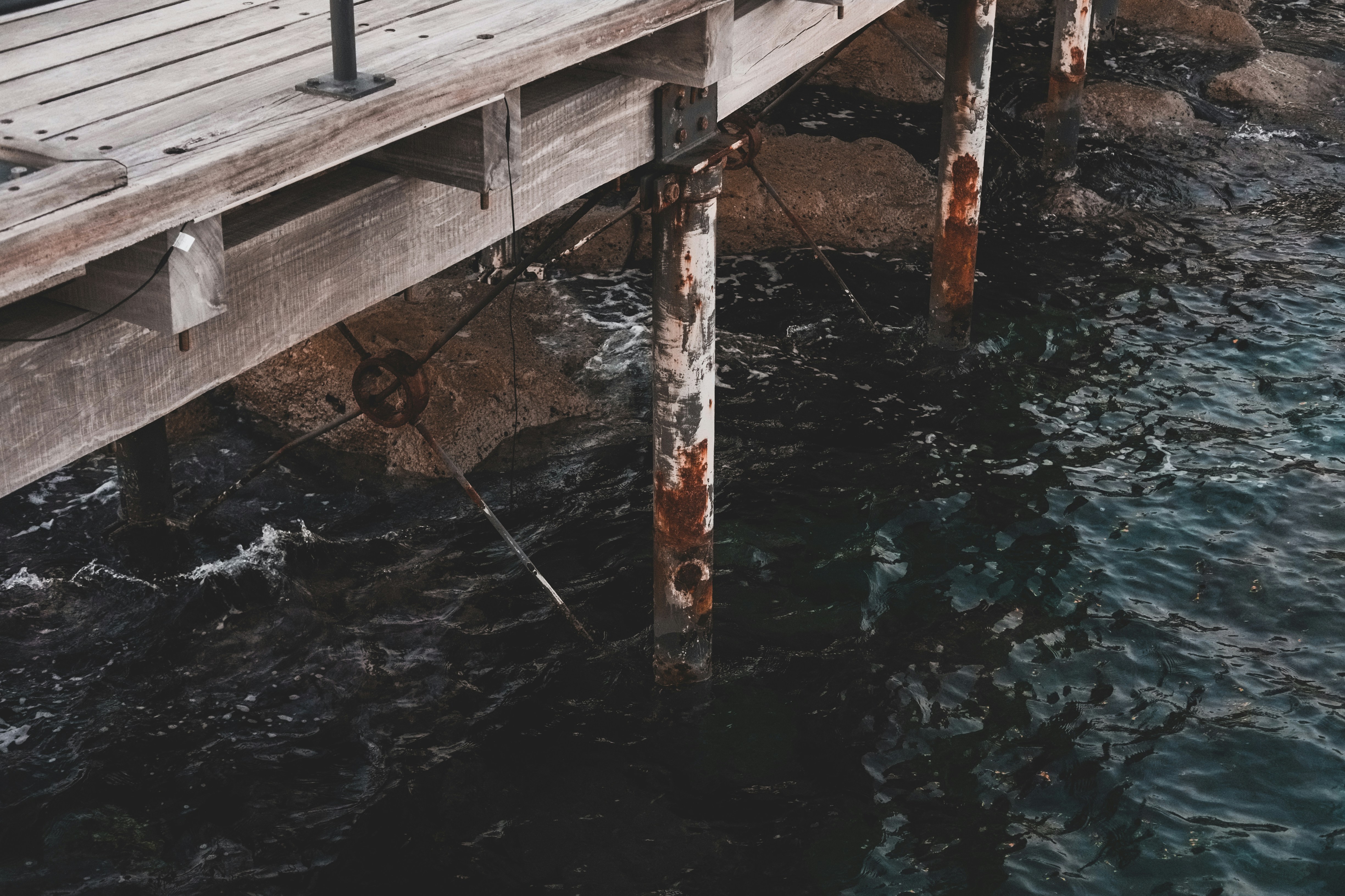 Photo by denisotree