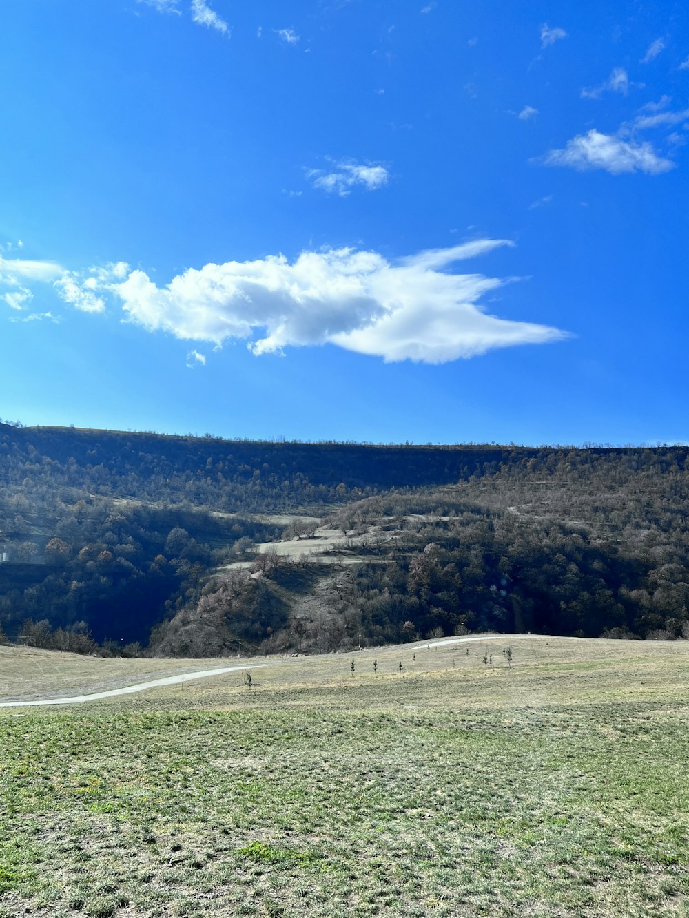 a horse standing in a field with a mountain in the background