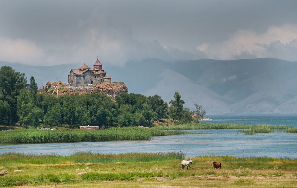 two horses graze in front of a castle