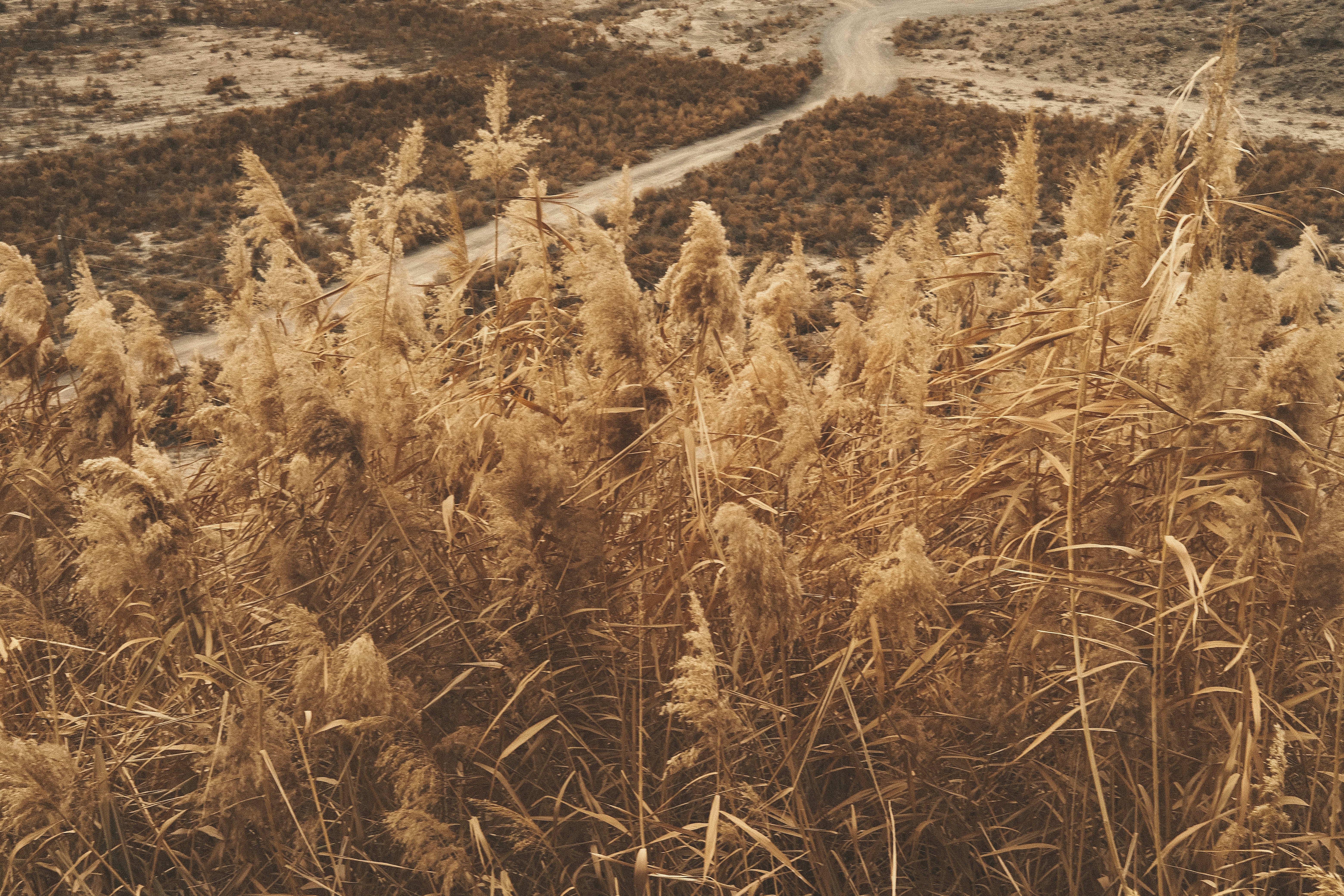 Southern winter light