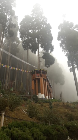 A misty forest scene with tall trees shrouded in fog. A wooden structure resembling a pagoda with prayer flags surrounds the area, adding a spiritual ambiance. The ground is covered in green vegetation, enhancing the natural and serene setting.