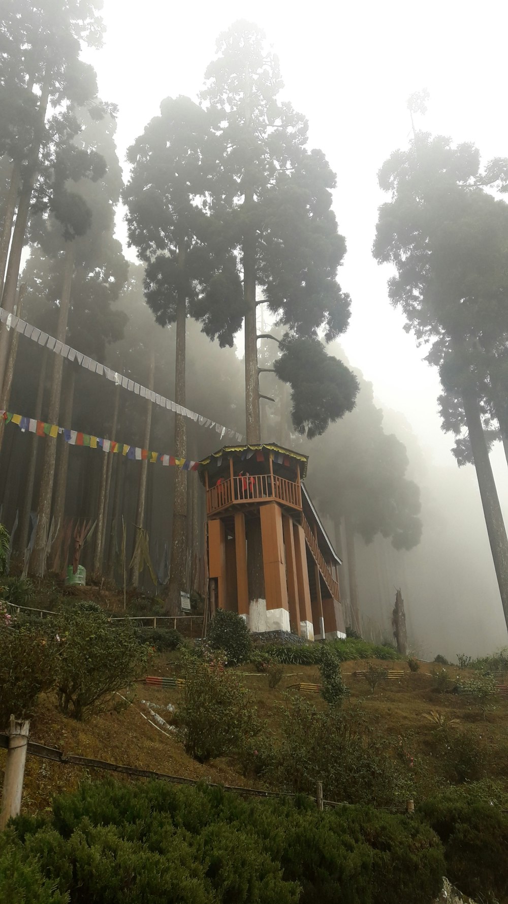 a small building in the middle of a forest