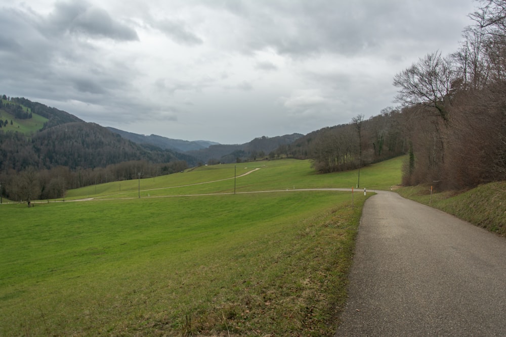 a dirt road going through a lush green field