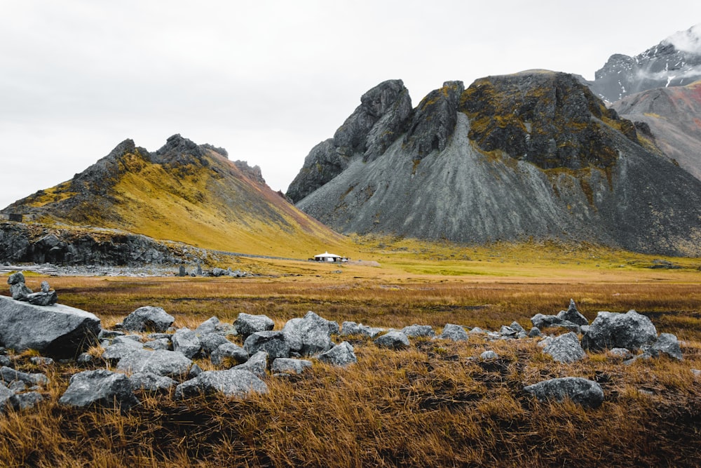 a grassy field with a mountain in the background