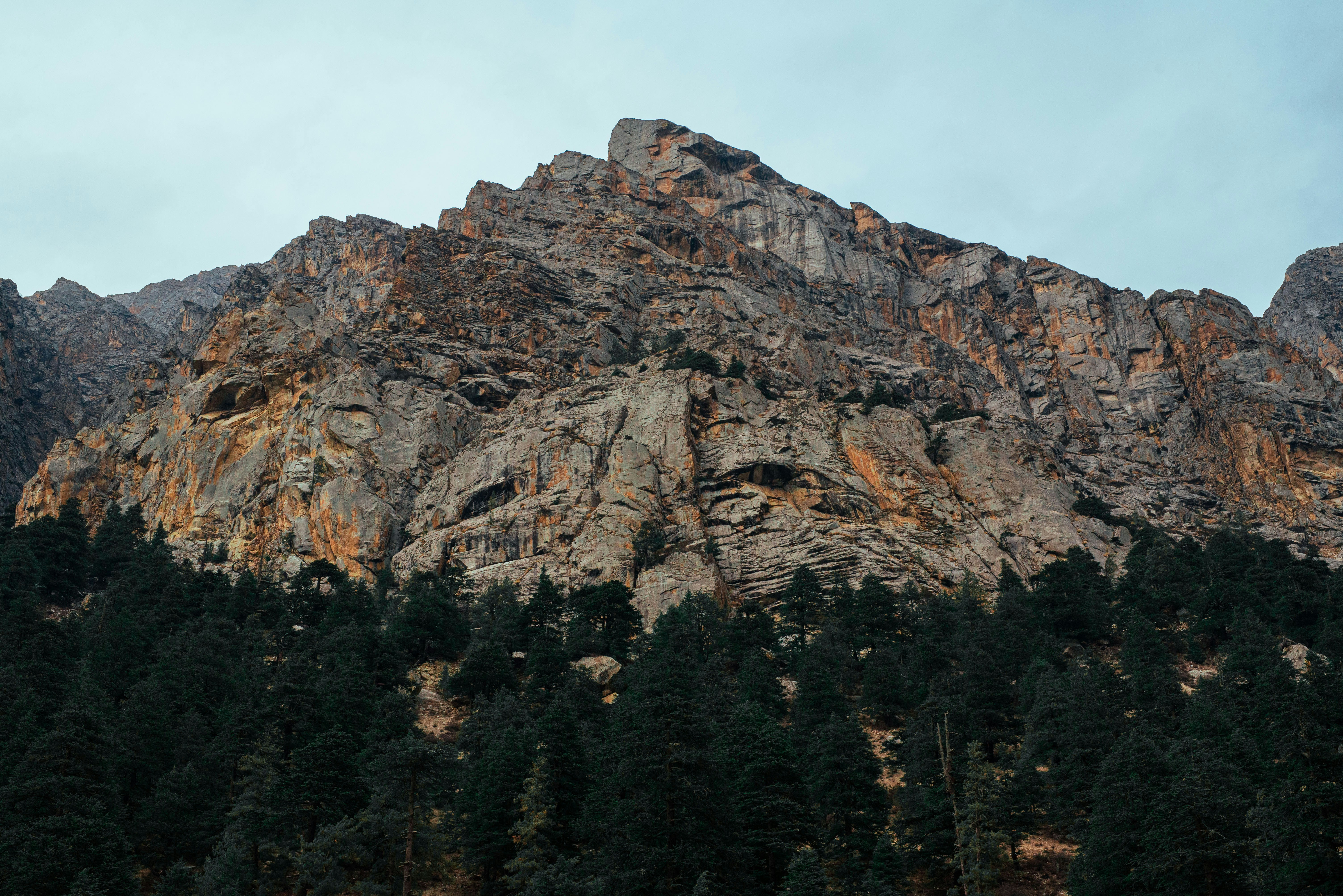 Photo by rajat18051991