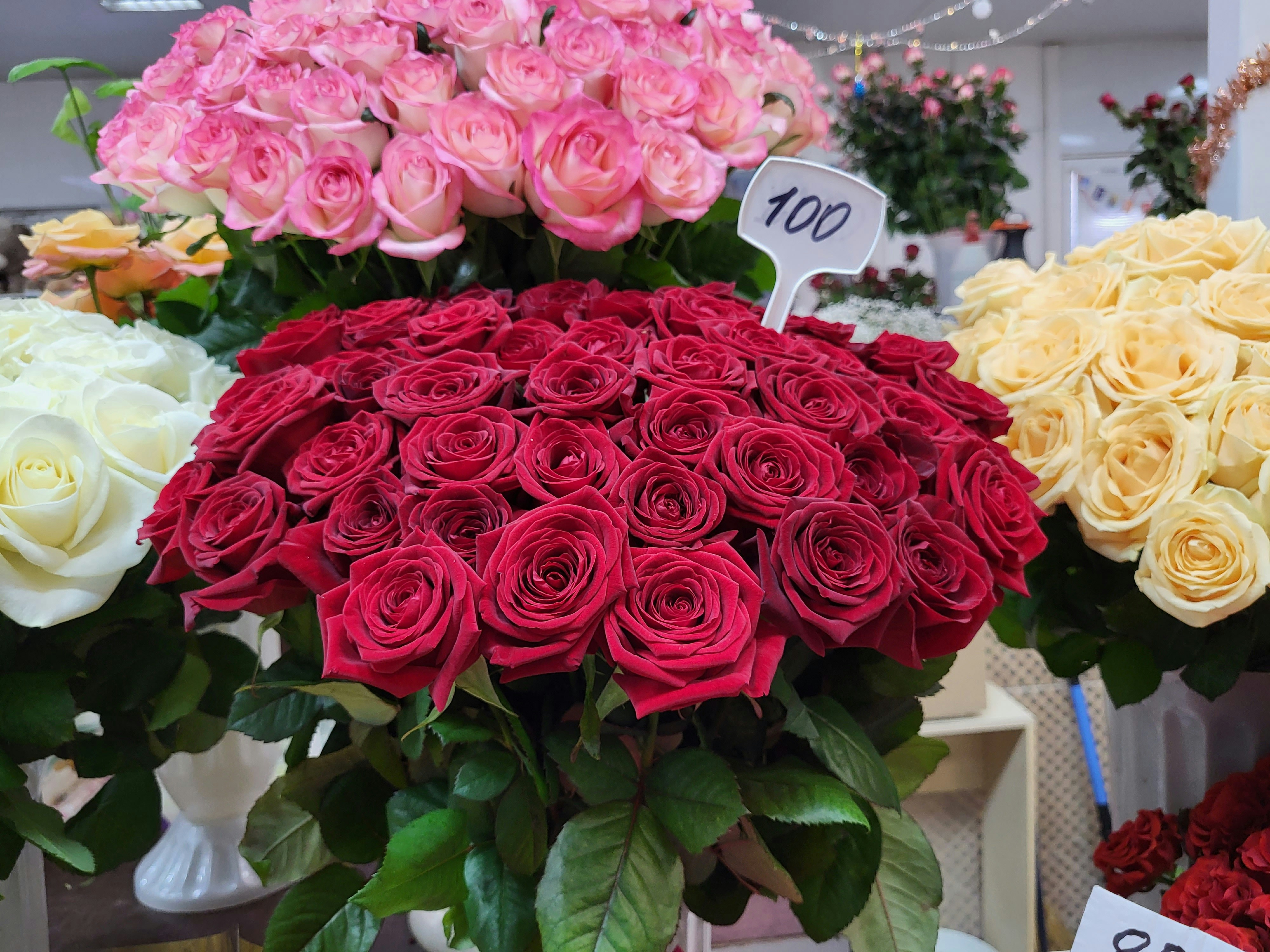 Wholesale Roses That Last a Year - Preserved Roses Display