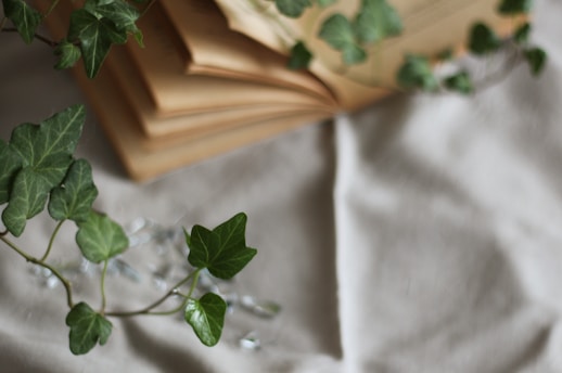 Softly lit open book resting on a warm beige linen cloth, surrounded by olive green leaves.