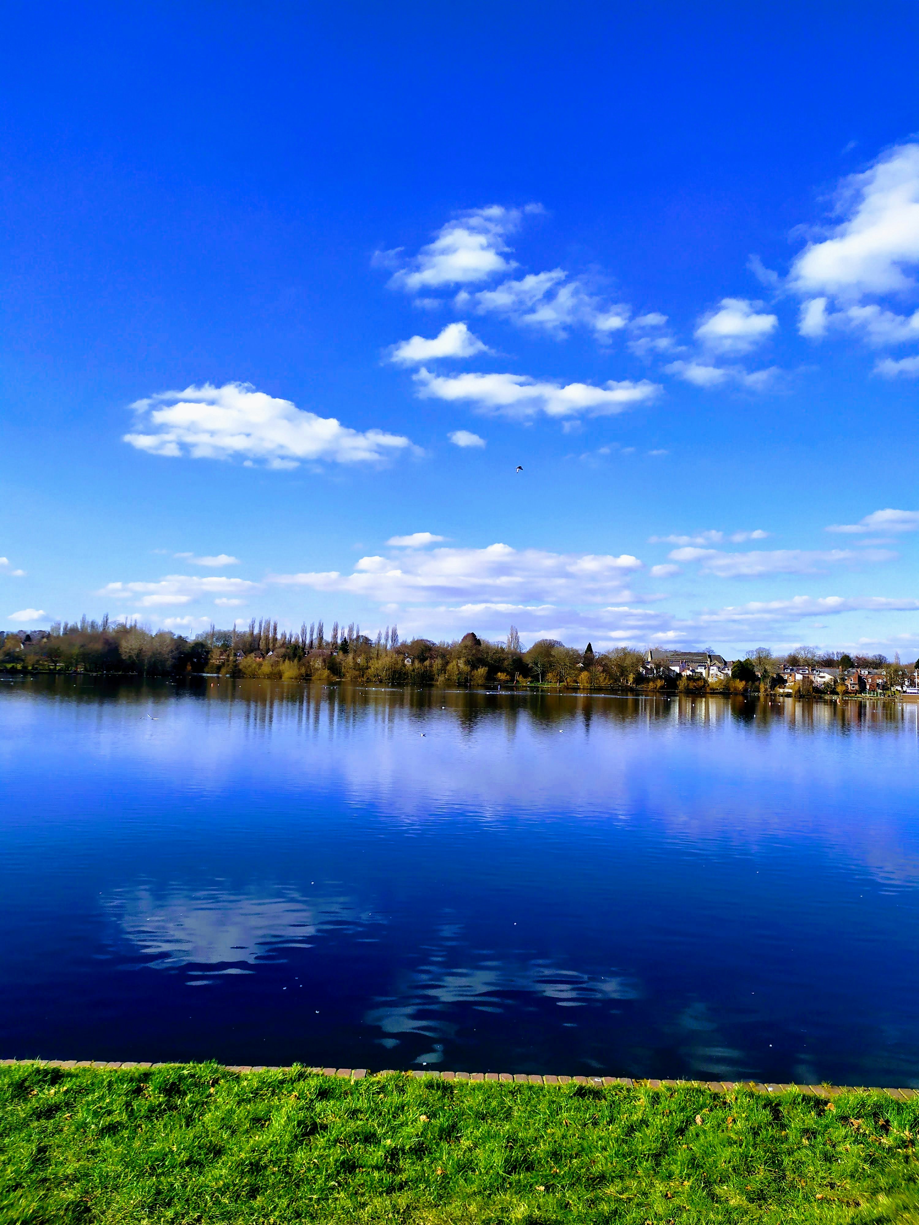 Containers in Summer Lake, OR