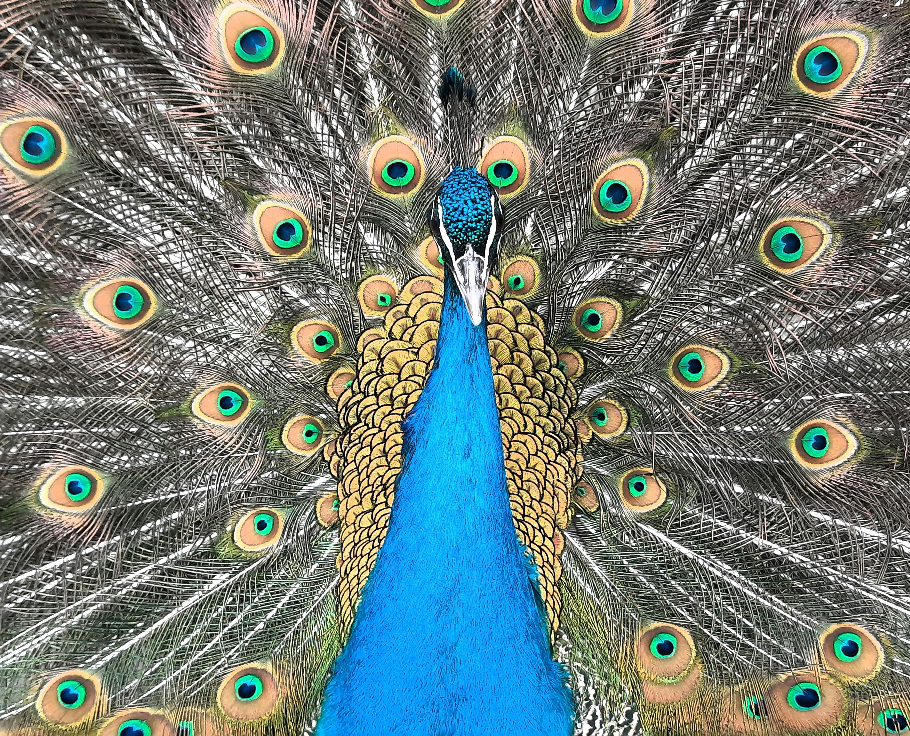 Photo by iamrifathus