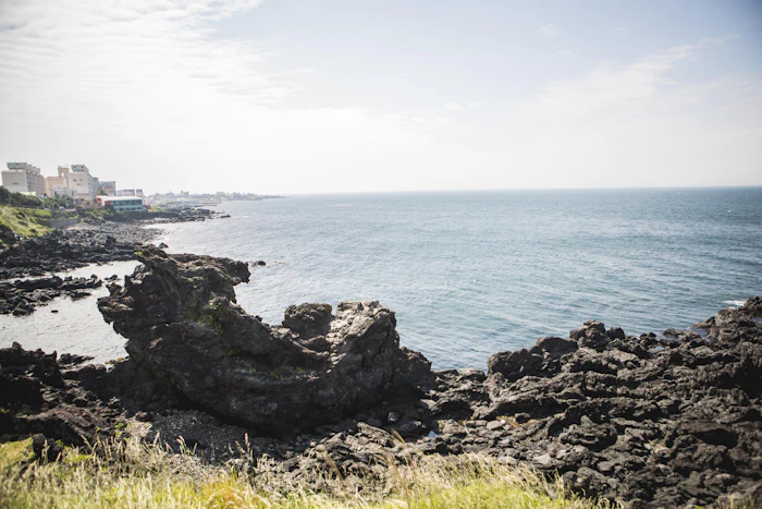 Küste aus schwarzem Lavagestein auf Jeju