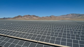 a large array of solar panels in a desert