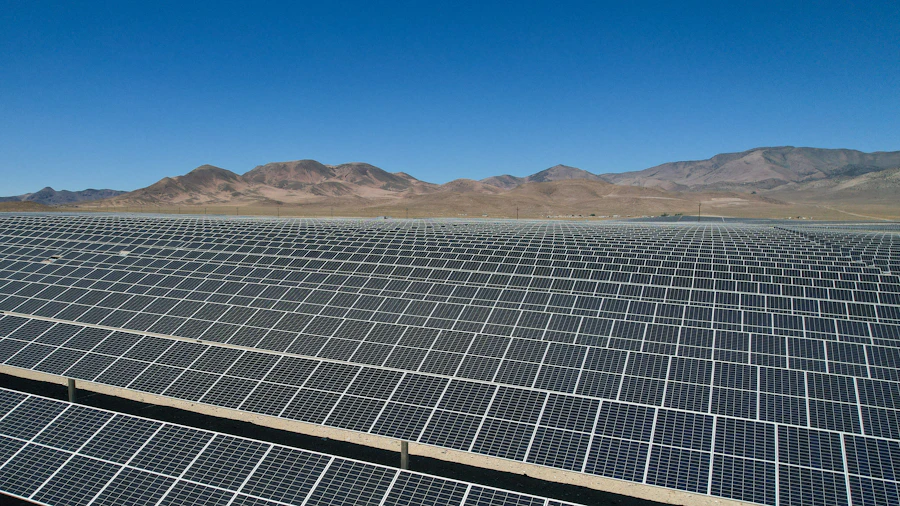 Solar panel farm
