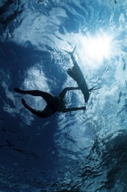 a couple of people swimming in a body of water