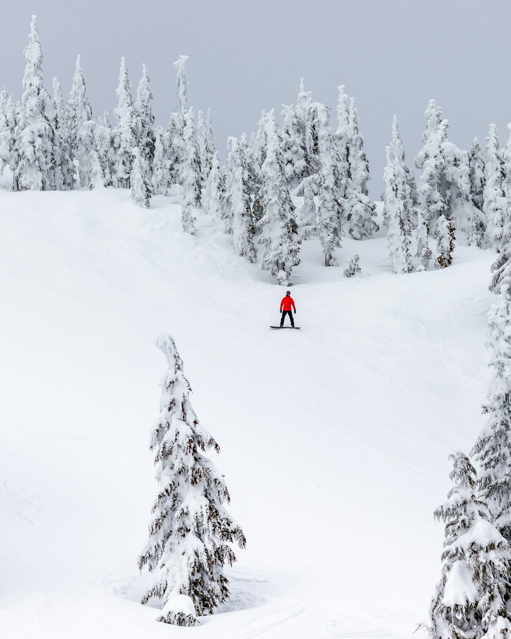 a person on a snowboard in the middle of a snowy mountain