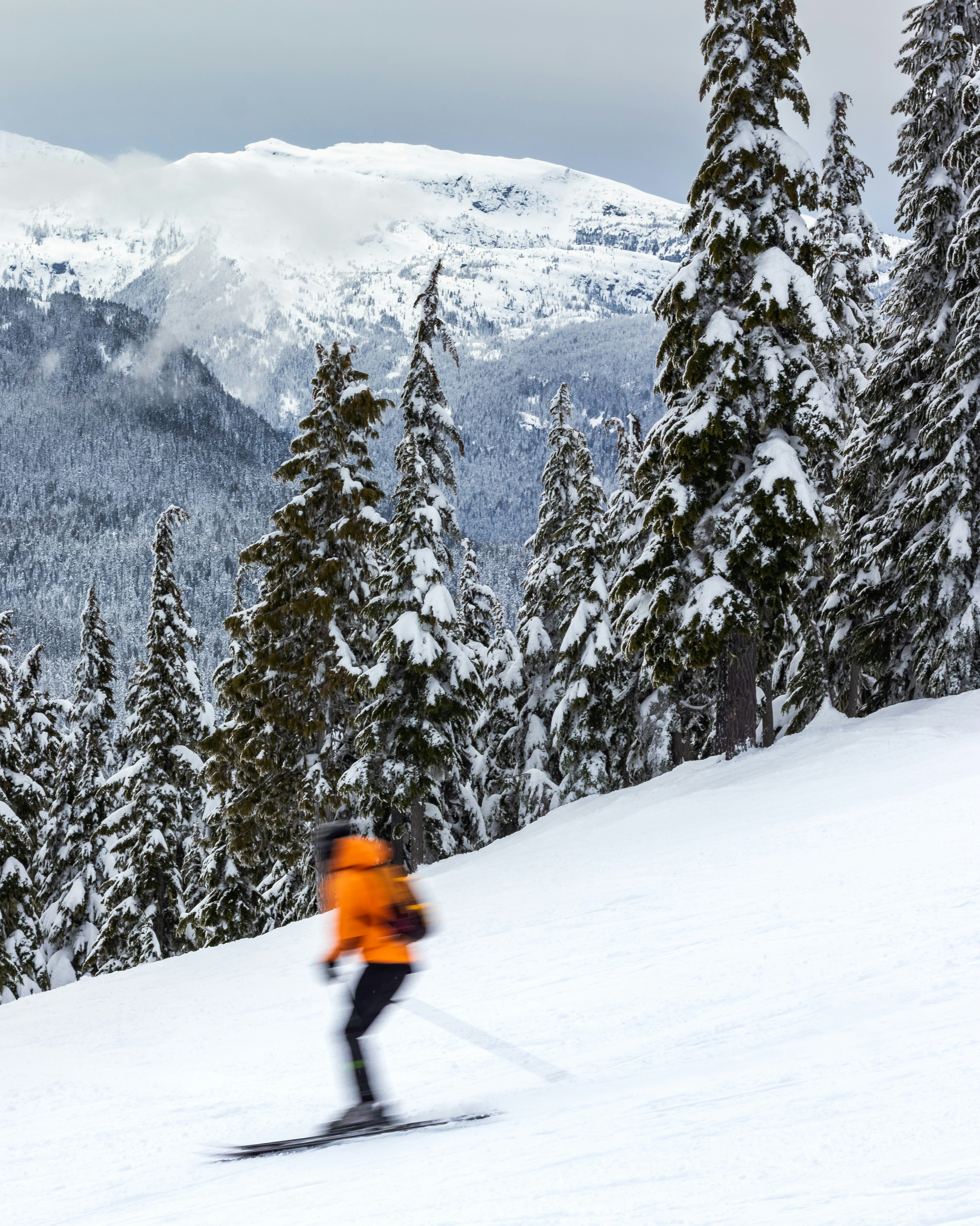 Photo by greg_rosenke