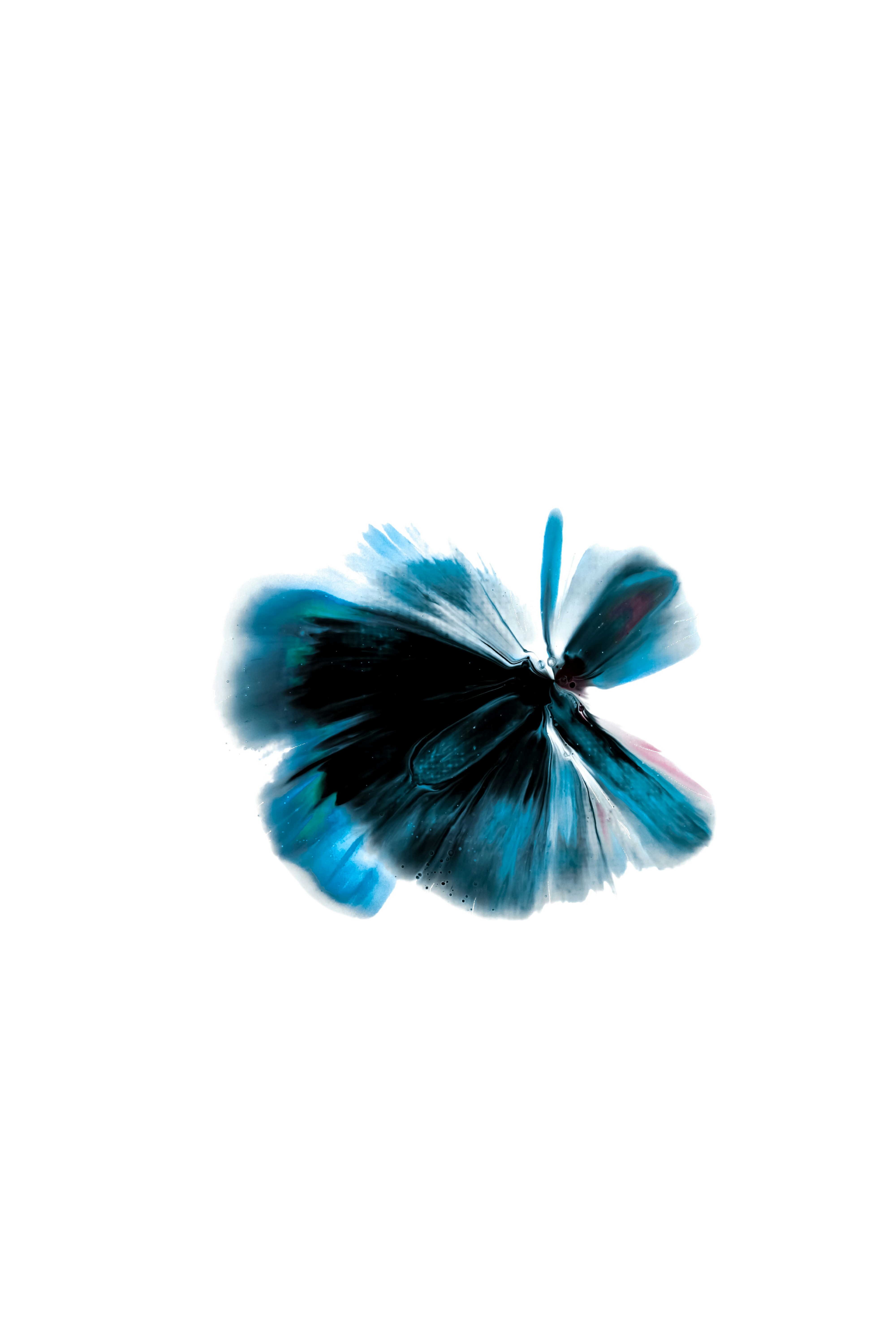 Vibrant floral abstract with electric colors blooming across a dark background