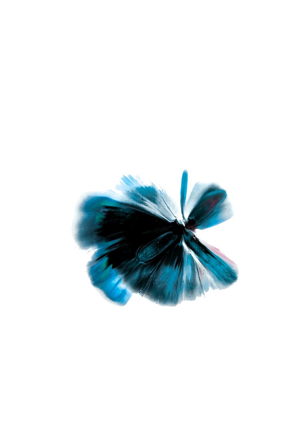 a blue and black butterfly flying in the sky
