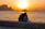 A couple dining on the terrace of a waterfront restaurant during sunset.