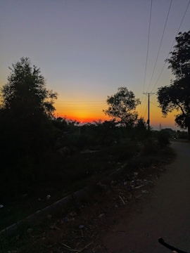 Sunset over a peaceful rural lot ready for development.