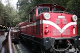 A vintage red train with white details is stationed on a narrow railway track surrounded by lush green forest. The front of the train displays the code DL-40. A wooden platform with railing and canopy is visible on the side, where people appear to be boarding.