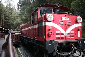 A vintage red train with white details is stationed on a narrow railway track surrounded by lush green forest. The front of the train displays the code DL-40. A wooden platform with railing and canopy is visible on the side, where people appear to be boarding.