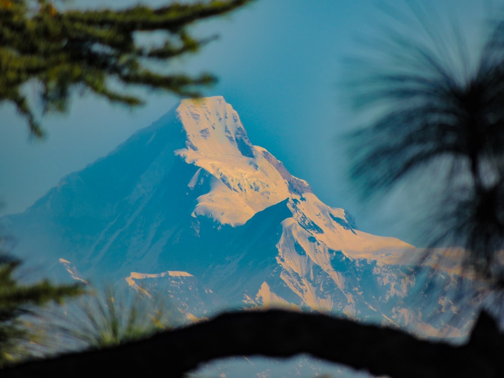 a view of a snow covered mountain through some trees