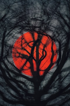 A large, vivid red circle appears in the center, partially obscured by the dark silhouettes of intertwined tree branches. The background is a muted, cloudy gray, which contrasts with the bright red, enhancing the mysterious and slightly eerie atmosphere.