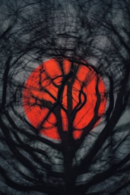 A large, vivid red circle appears in the center, partially obscured by the dark silhouettes of intertwined tree branches. The background is a muted, cloudy gray, which contrasts with the bright red, enhancing the mysterious and slightly eerie atmosphere.