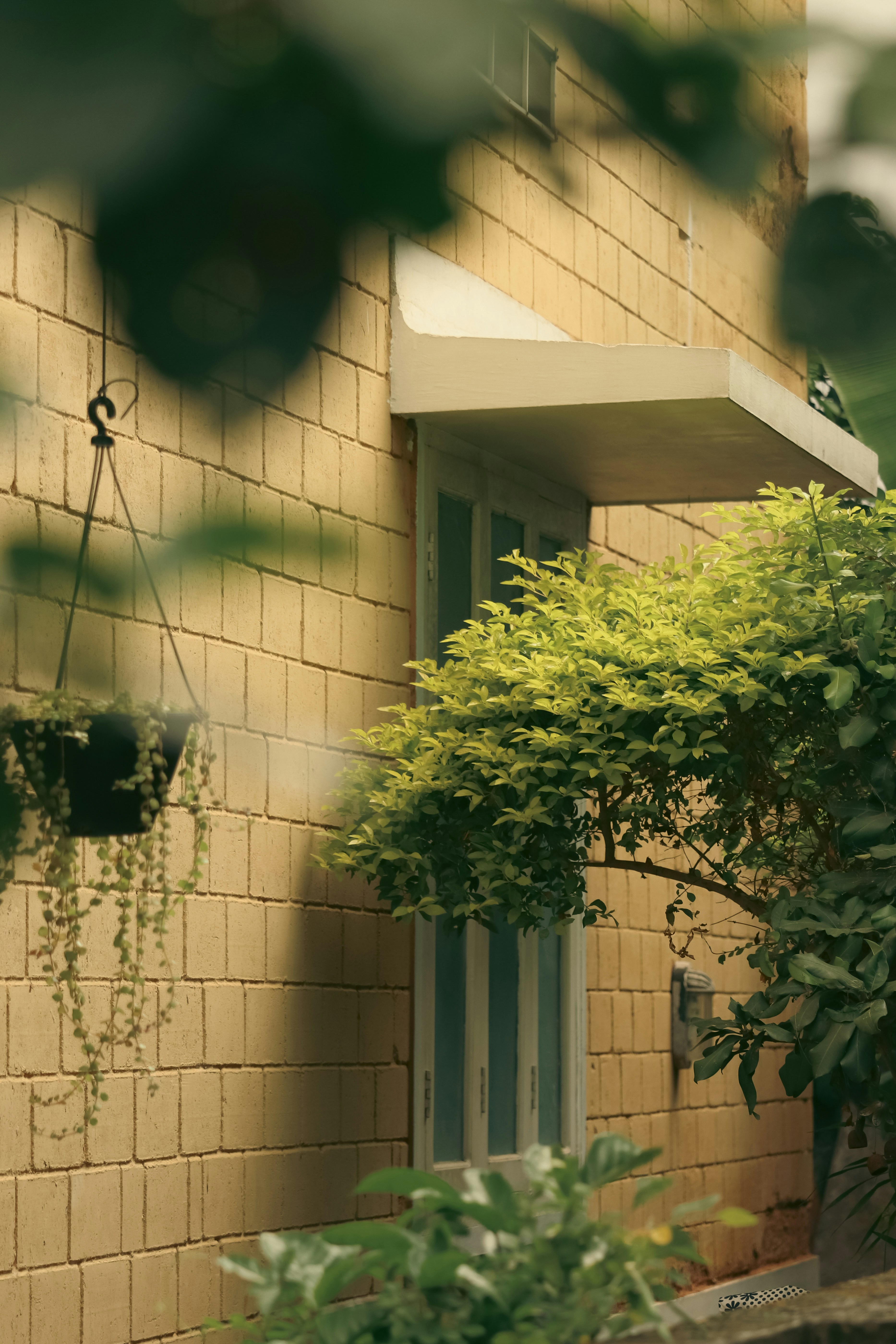 Photo by notwakeupsid