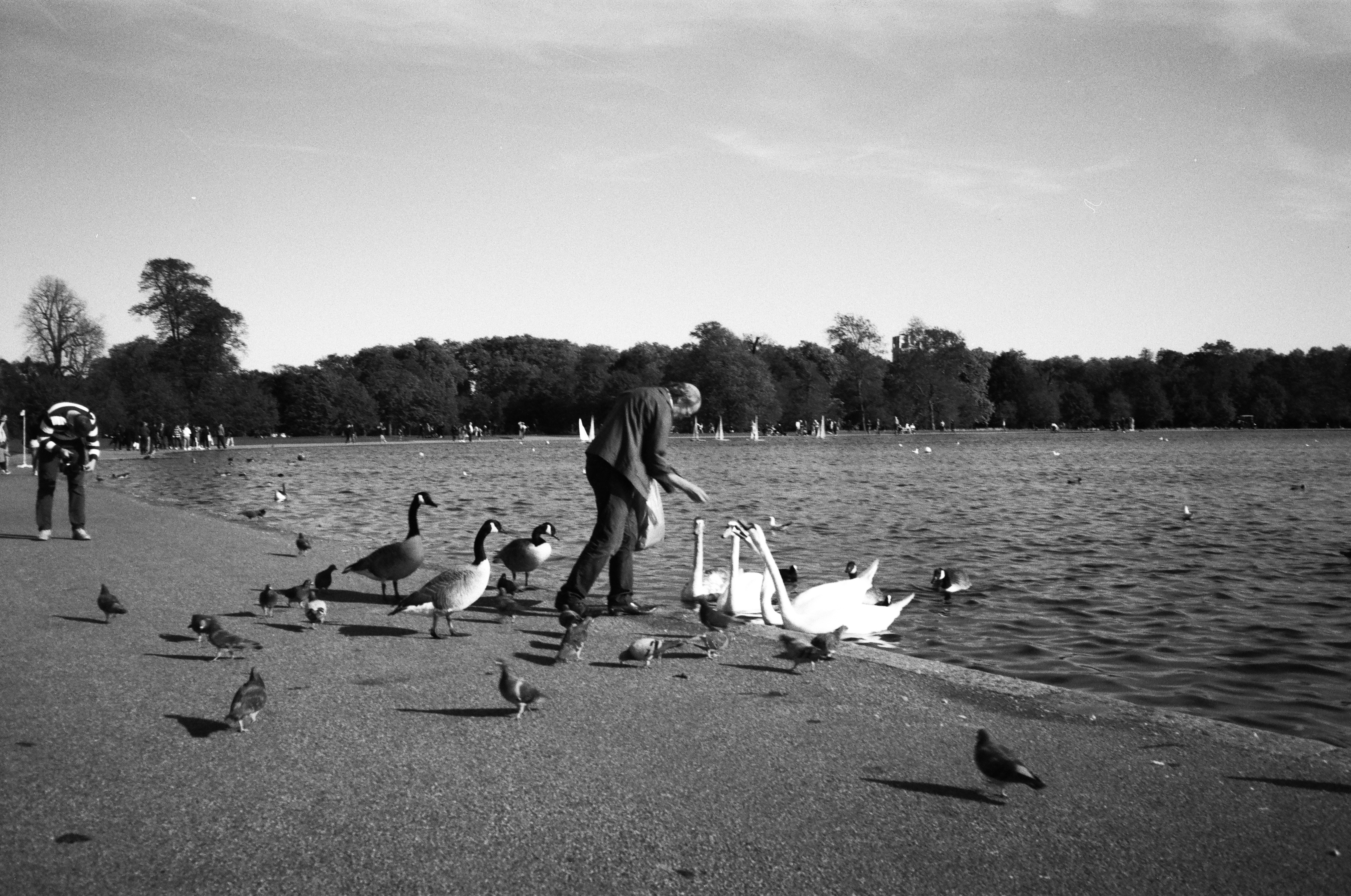 a black and white photo of a man feeding a flock of birds