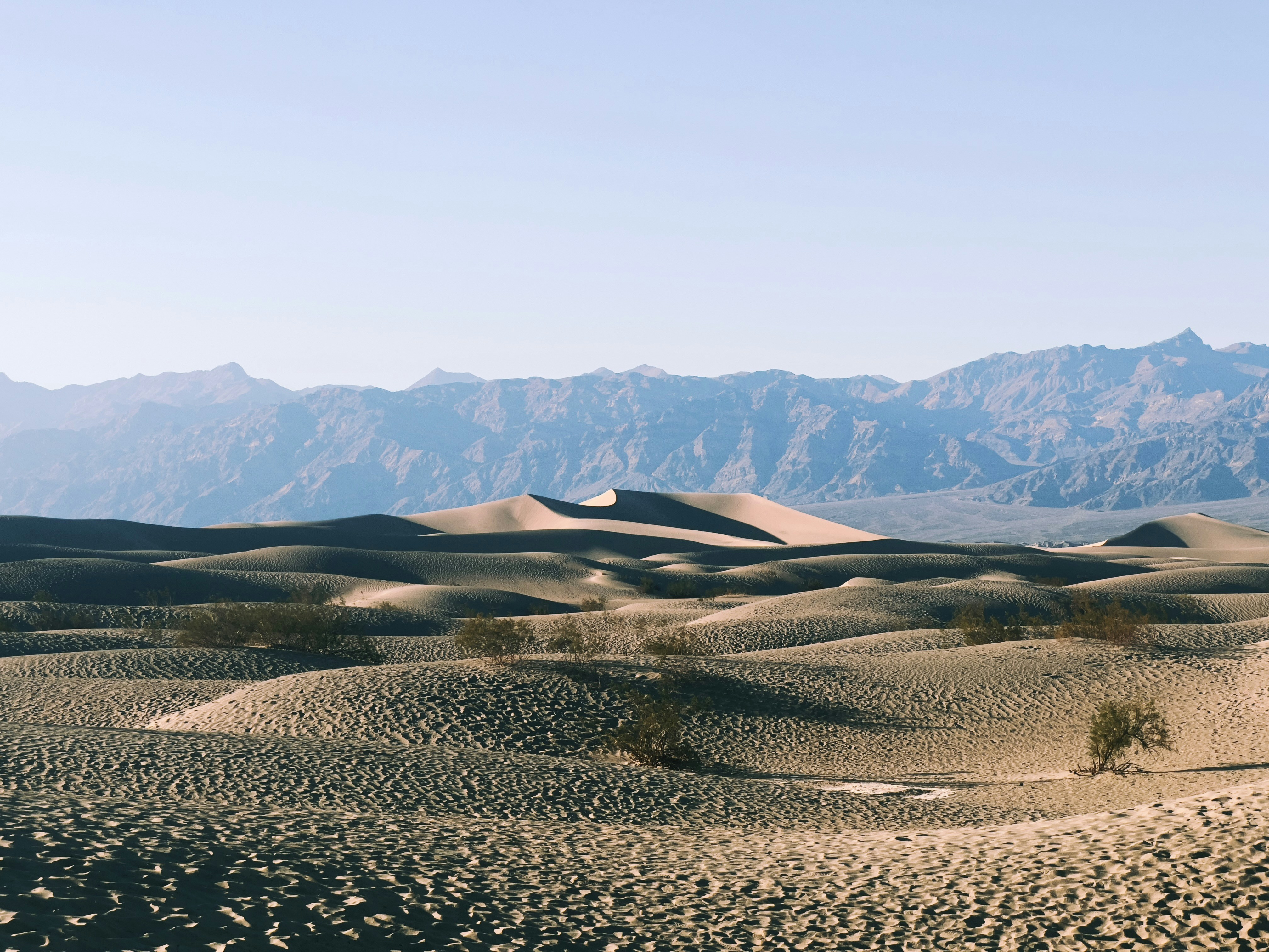 Photo by simondellise