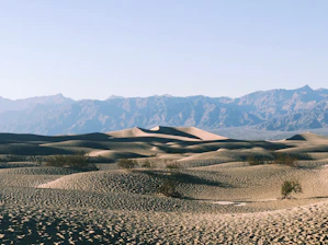 Cinematic fullscreen background with western desert theme and subtle gold accents.