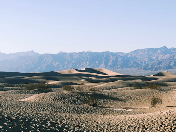 Cinematic fullscreen background with western desert theme and subtle gold accents.