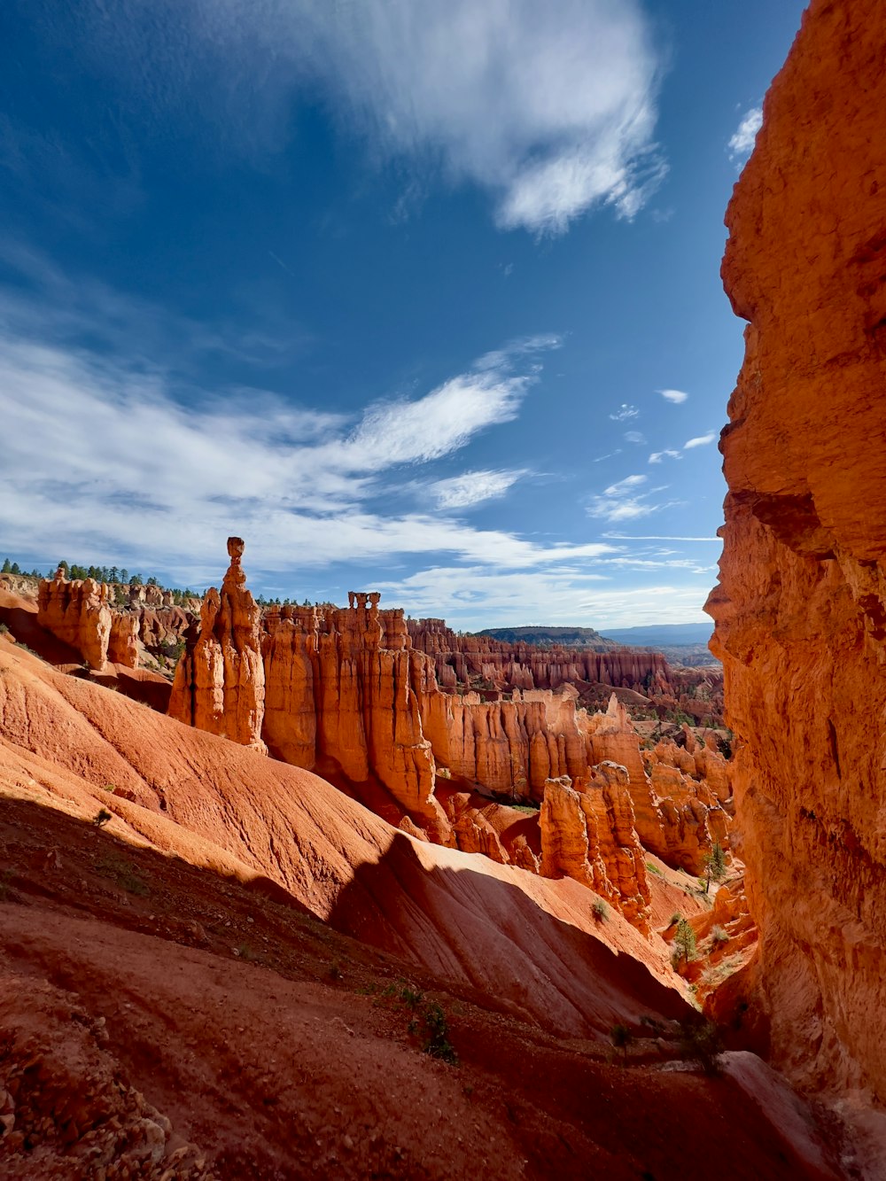 a scenic view of the hoodoos of a canyon