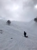 A snowy landscape with a person equipped with winter gear standing on a snow-covered slope. The person appears to be carrying or standing next to a snowboard. There are a few leafless trees scattered across the white, expansive terrain under a cloudy sky.