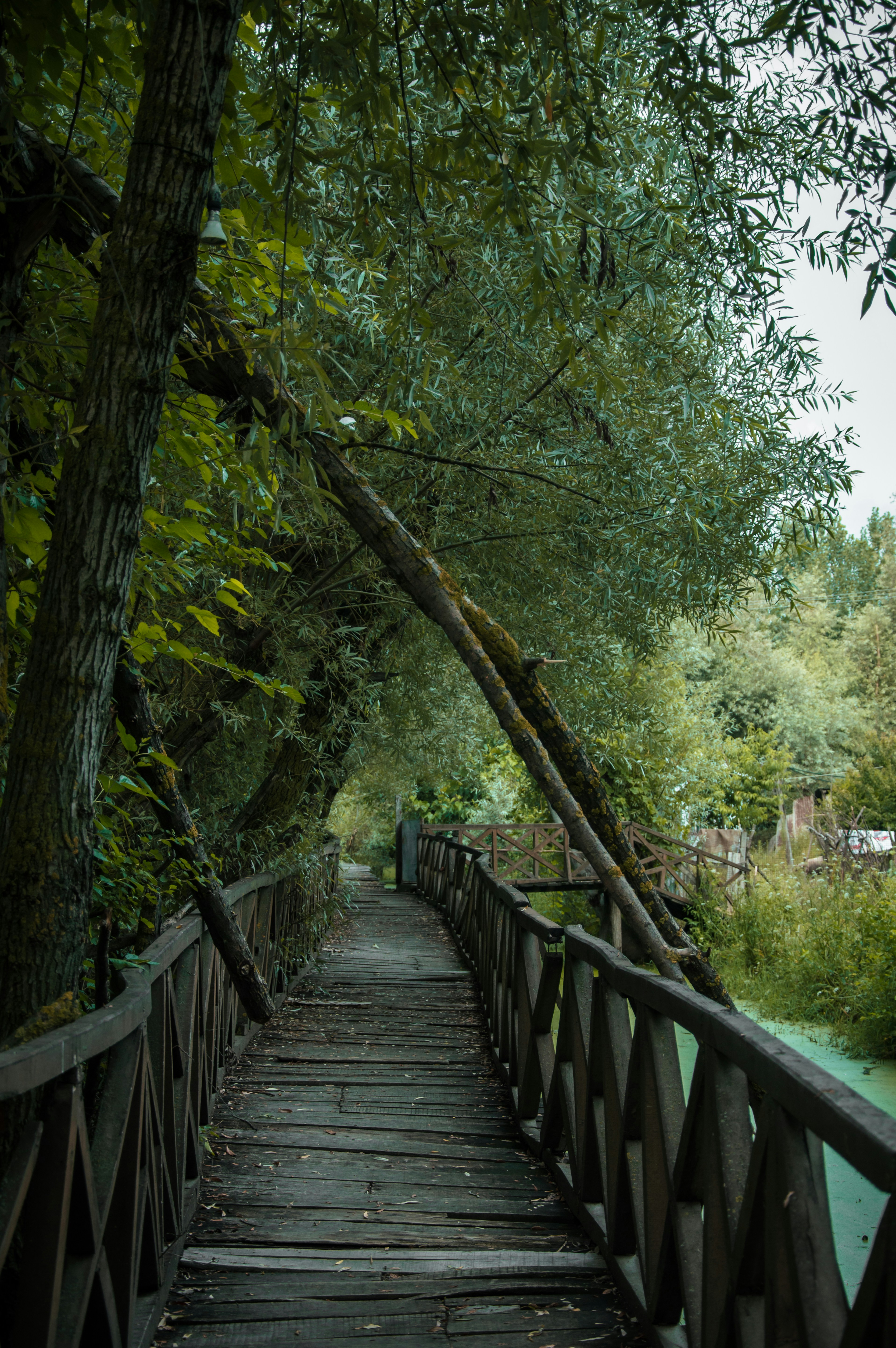 Photo by muminclicks