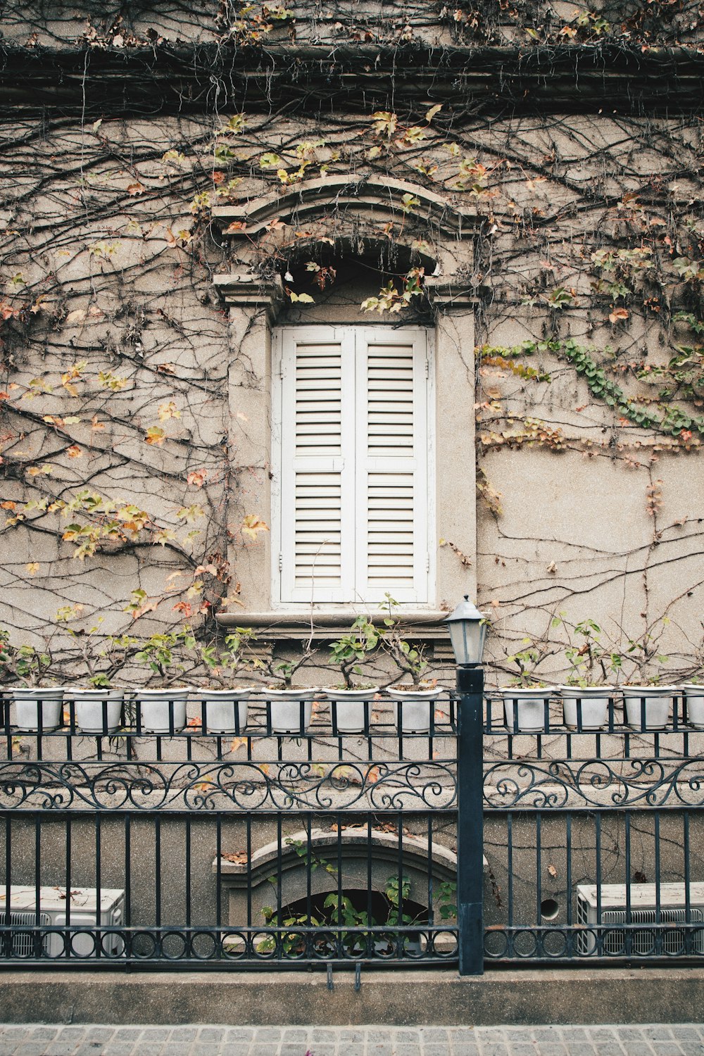 a building with vines growing on the side of it