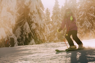 a person riding skis on a snowy surface