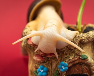 a close up of a small figurine of a snail