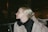 a woman with blond hair wearing a black scarf