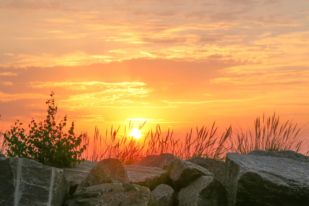 the sun is setting over a rocky beach