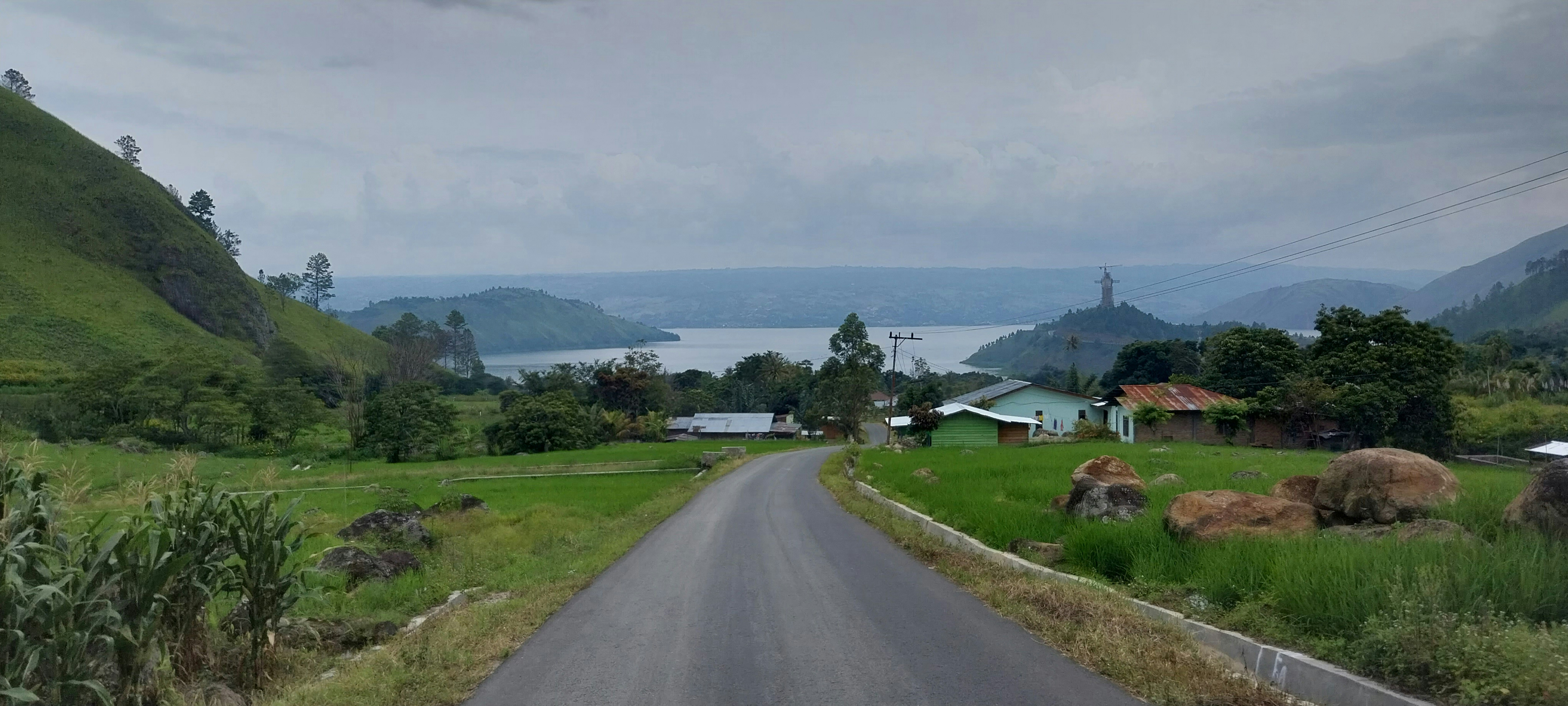 a road going through a lush green countryside