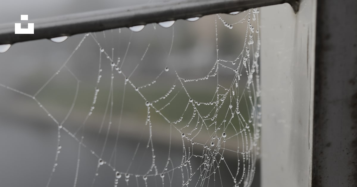 A spider web hanging from a metal railing photo – Free Latvia Image on ...
